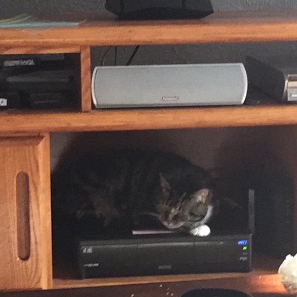 She’s free!!!.........FOR ME!!!! - Picture 1 of 3